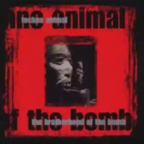 Cover di The Brotherhood of the Bomb