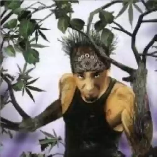 Cover J-Ax - Di sana pianta