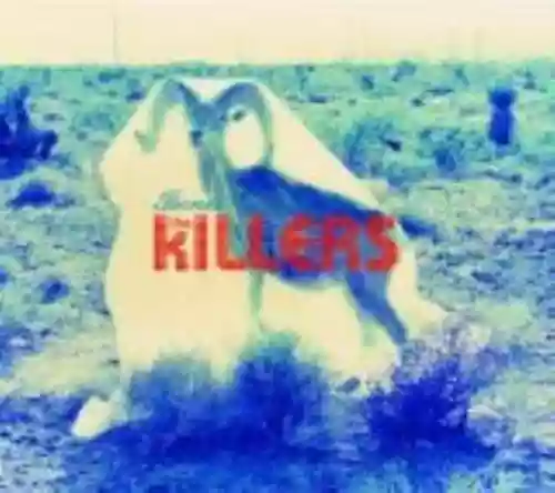 Cover The Killers - Bones