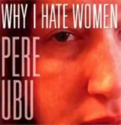 Cover di Why I Hate Women