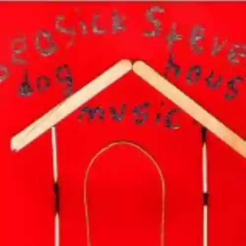 Cover Seasick Steve - Dog House Music
