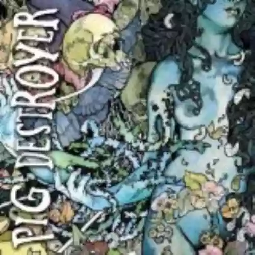 Cover di Phantom Limb