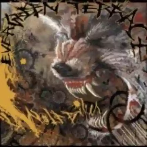 Cover di Wolfbiker