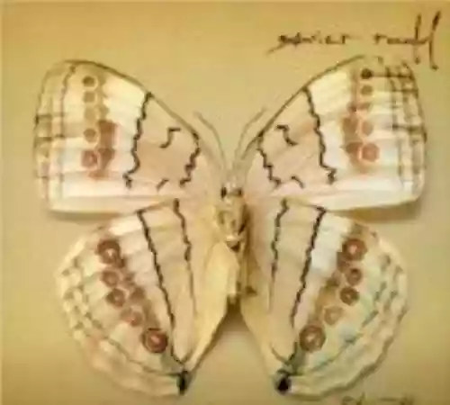 Cover di White Moth