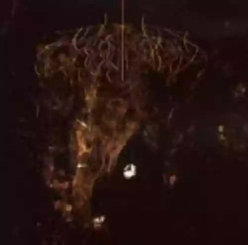 Cover Wolves in the Throne Room - Two Hunters