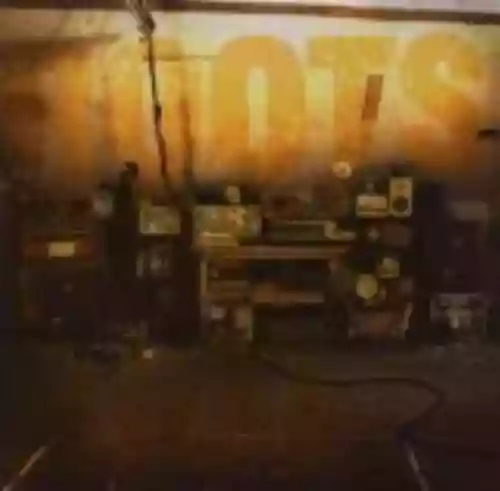 Cover di Roots Rock Riot