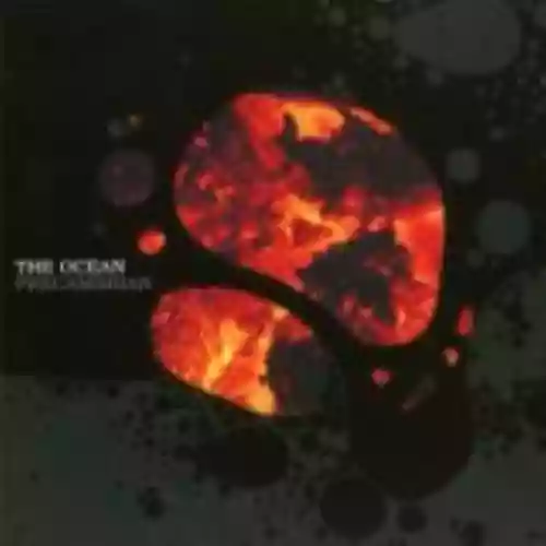 Cover di Precambrian