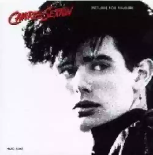 Cover Charlie Sexton - Pictures for Pleasure