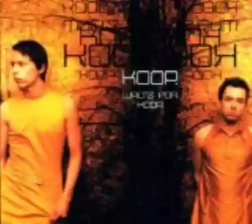 Cover di Waltz for Koop