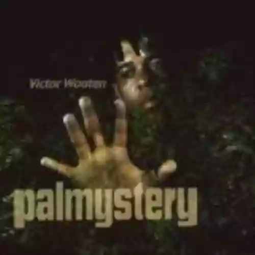 Cover di Palmystery
