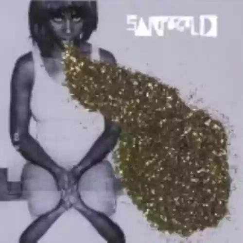 Cover di Santogold