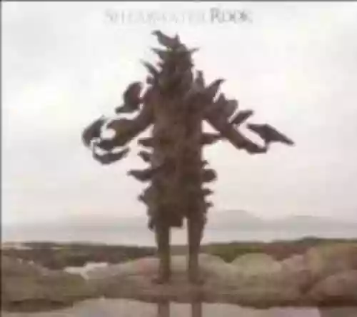 Cover di Rook