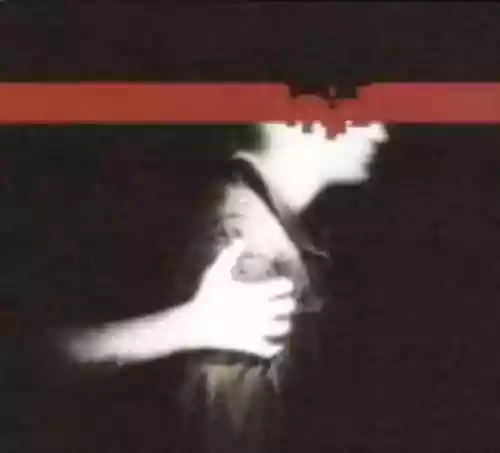 Cover di The Slip