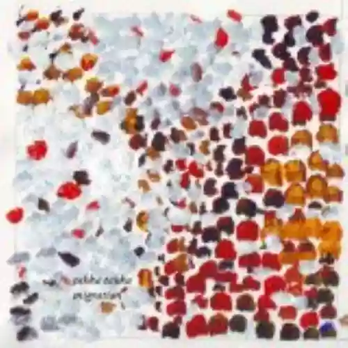 Cover di Migration