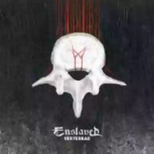 Cover di Vertebrae