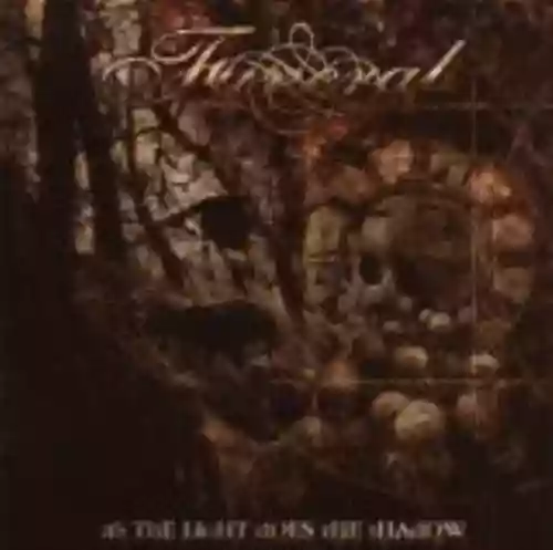 Cover di As the Light Does the Shadow