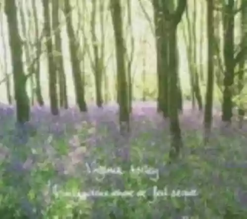 Cover Virginia Astley - From Gardens Where We Feel Secure