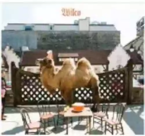 Cover di Wilco (The Album)