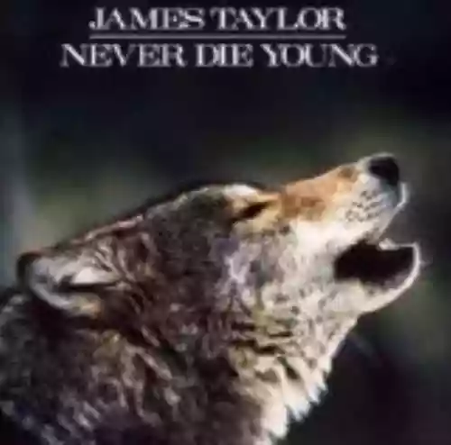 Cover di Never Die Young