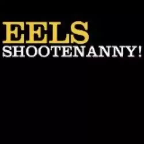 Cover di Shootenanny!