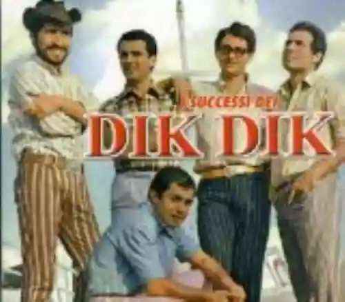 Cover Dik Dik - I successi dei Dik Dik