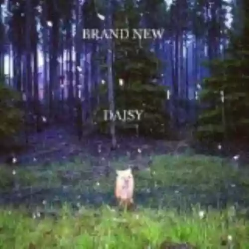 Cover di Daisy