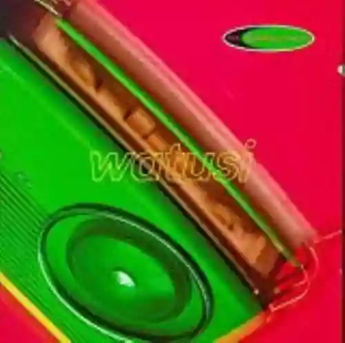 Cover The Wedding Present - Watusi