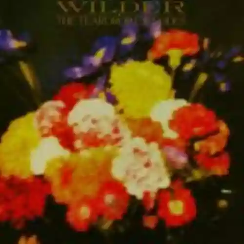 Cover The Teardrop Explodes - Wilder