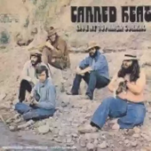 Cover di Live at Topanga Corral