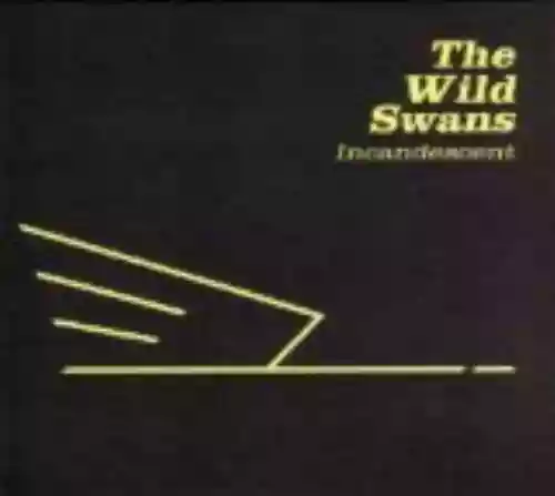 Cover The Wild Swans - Incandescent