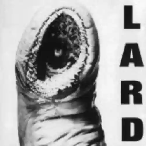 Cover di The Power of Lard