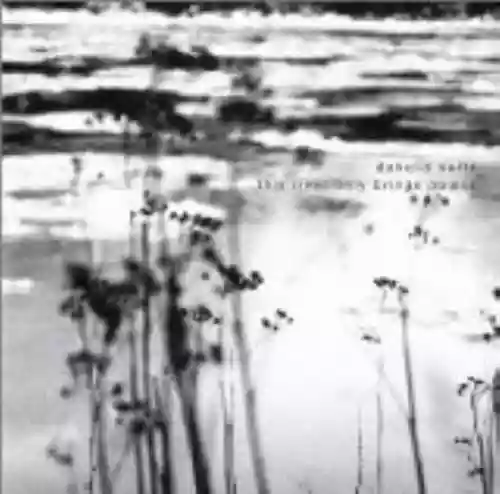 Cover di This River Only Brings Poison