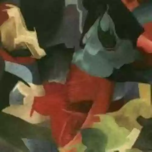 Cover di Black Foliage: Animation Music, Volume 1