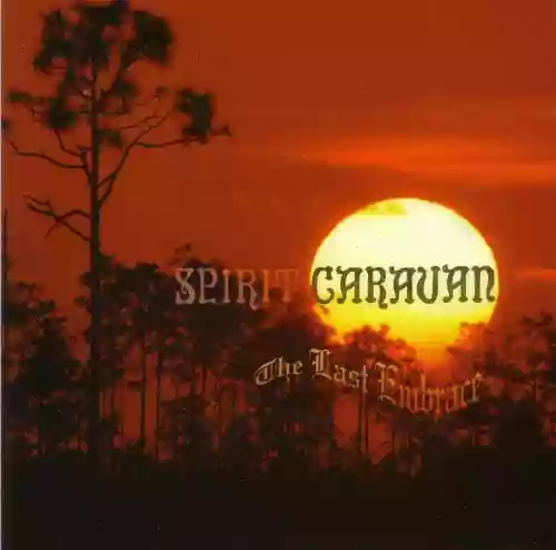 Cover di The Last Embrace