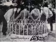 Immagine di I bisonti