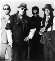 Immagine di Infectious Grooves