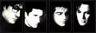 Immagine di Rain Tree Crow