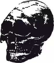 Immagine di Man Is the Bastard