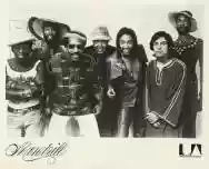 Immagine di Mandrill