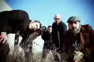 Immagine di Meganoidi