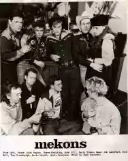 Immagine di The Mekons