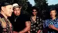 Immagine di The Neville Brothers