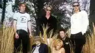 Immagine di New Radicals