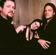 Immagine di Paula Cole Band