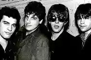 Immagine di The Plimsouls