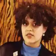 Immagine di Poly Styrene