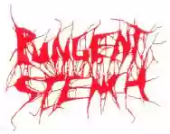 Immagine di Pungent Stench