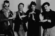 Immagine di Robyn Hitchcock and The Egyptians
