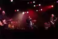 Immagine di Shane MacGowan and The Popes