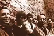 Immagine di Shank